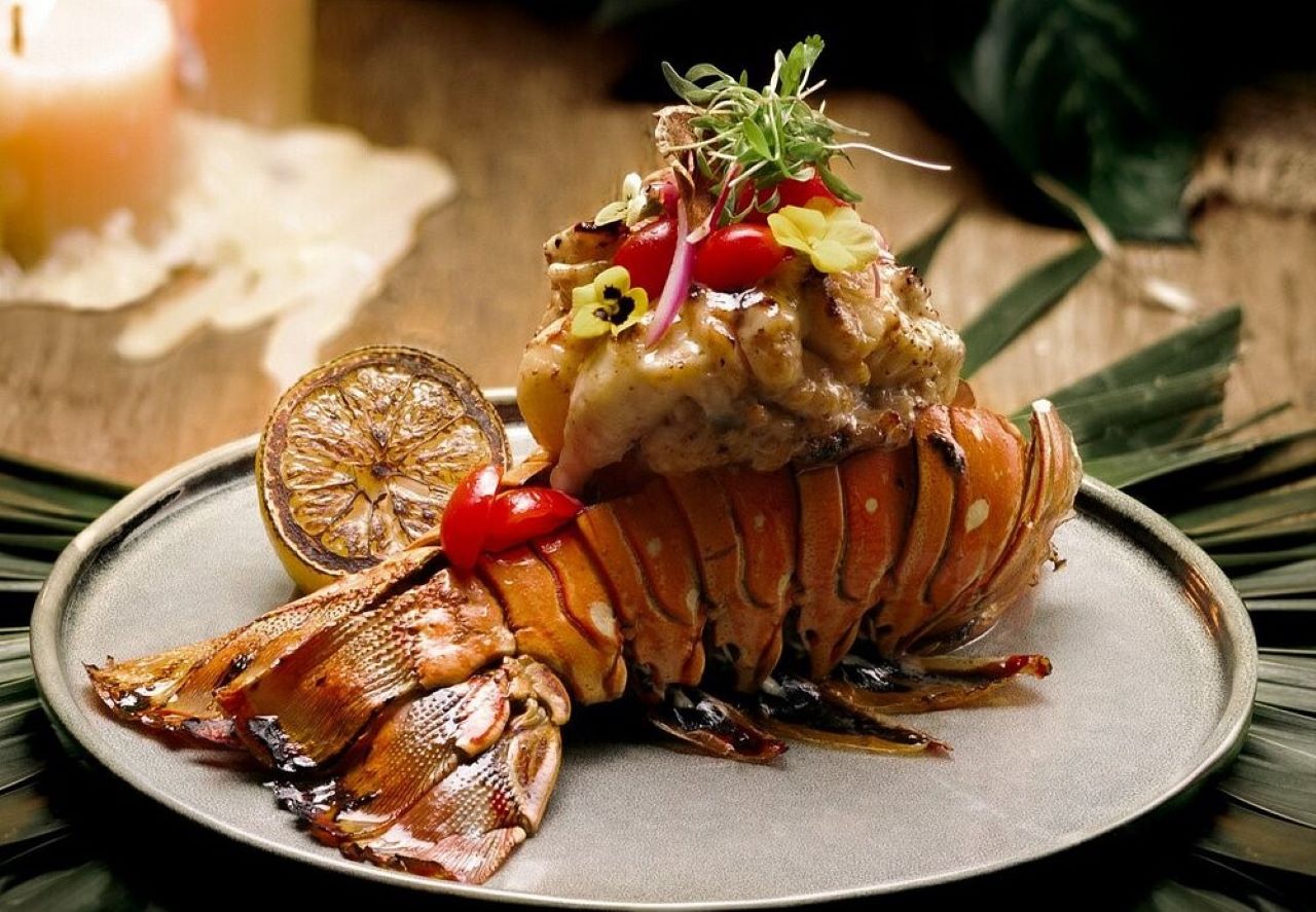 Cabo best restaurants for seafood lovers